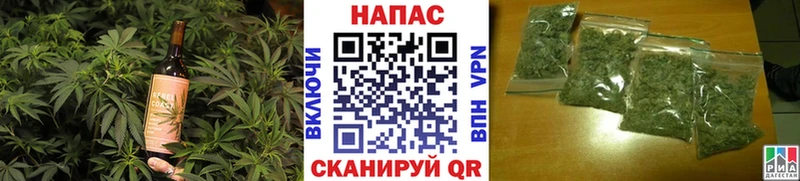 Canna-Cookies конопля площадка состав Чкаловск