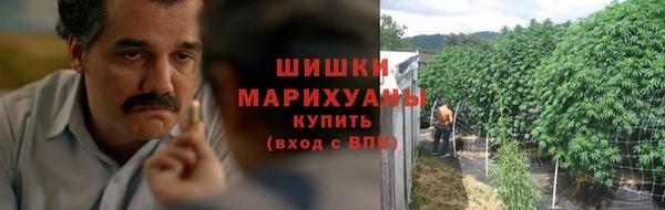 ГАЛЛЮЦИНОГЕННЫЕ ГРИБЫ Алексеевка
