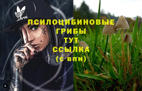ГАЛЛЮЦИНОГЕННЫЕ ГРИБЫ Алексеевка