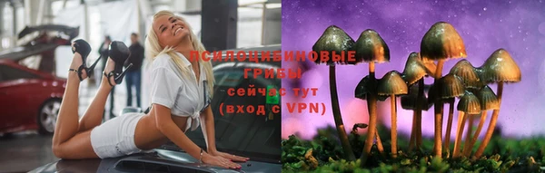 бошки Абдулино