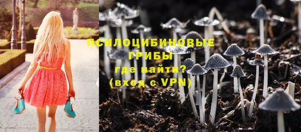ГАЛЛЮЦИНОГЕННЫЕ ГРИБЫ Алексеевка
