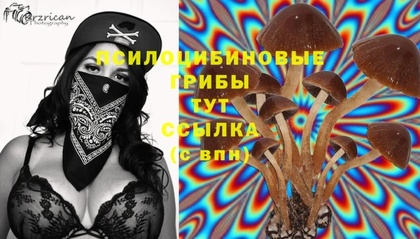 не бодяженный Алзамай