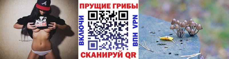 как найти   Чкаловск  Галлюциногенные грибы Magic Shrooms 